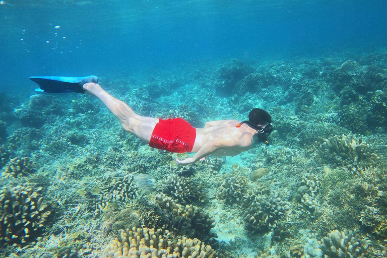 Gili Trawangan: Gili Islands Snorkeling Tour with Turtles Gili Trawangan: Snorkeling Tour with Turtles