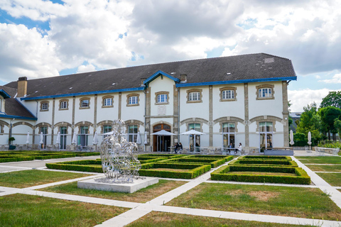 Reims Champagne Tour: Cathedral & Christmas Market Premium Minivan (1–7 PX)