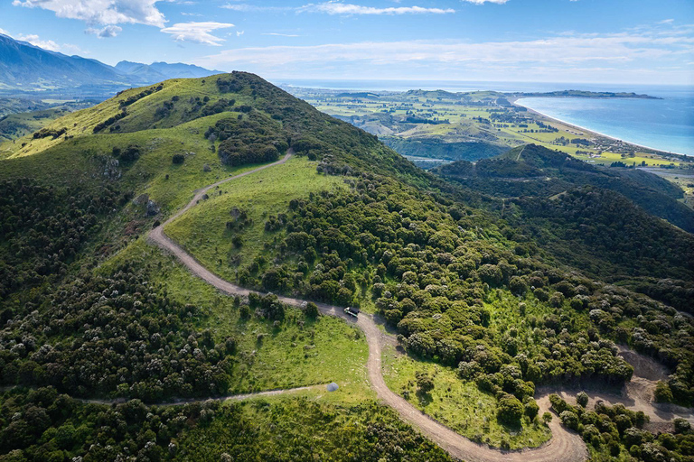 Kaikōura: Small Group Tour- optional Whale, Dolphin, Zipline Kaikōura Day Tour + Swim with Dolphins