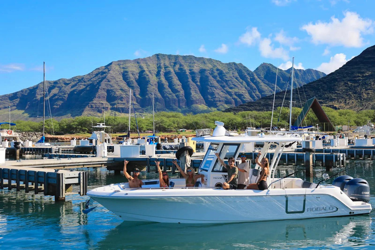 Waianae, West Oahu: Whale Watching Tour (Semi-Private Tour)