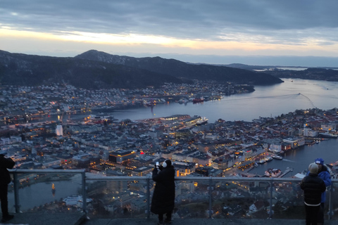 Visite privée des montagnes de Bergen comme un local