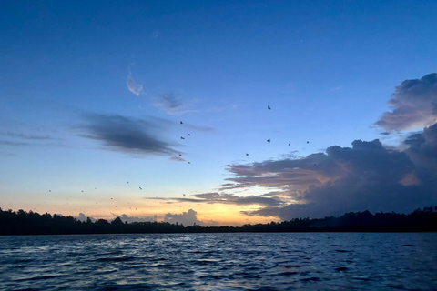 Mirissa: Kayaking & Bird watching Experience Sunrise or Sunset Bird watching Kayaking (Pickup included)