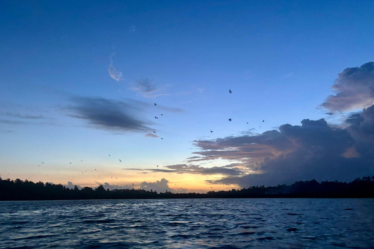 Mirissa: Kayaking & Bird watching Experience Sunrise or Sunset Bird watching Kayaking (Pickup included)