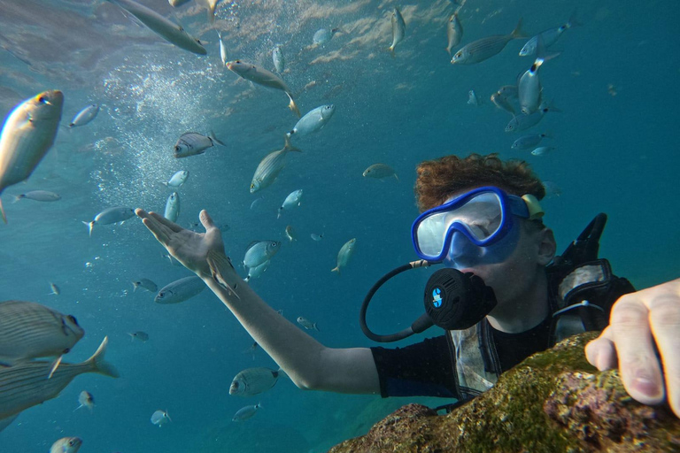 Antalya & Kemer: 2 Dives Scuba Diving Tour with Lunch Tour with transfer from Antalya