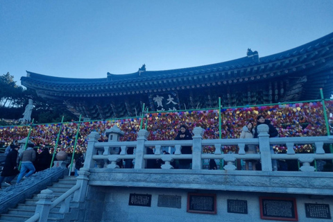 Busan: Guided Tour with Temple, Cave, and Palace Visits