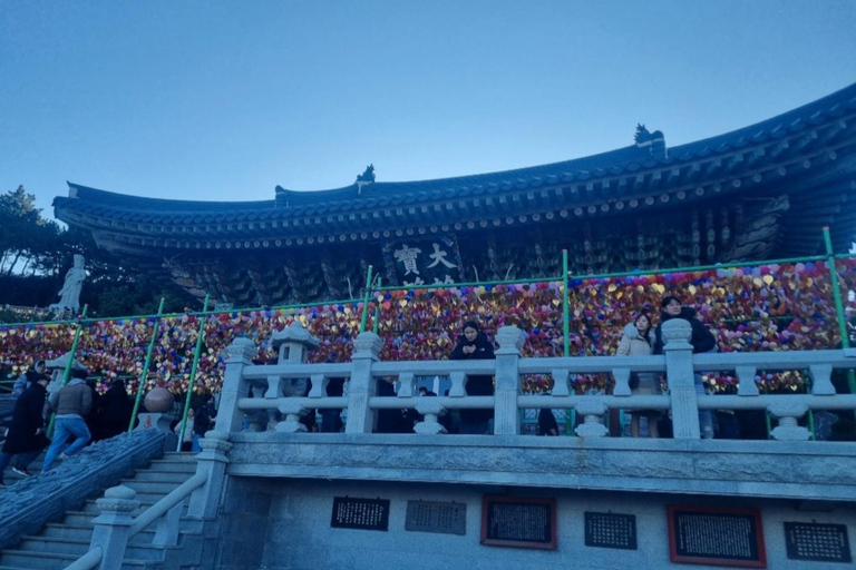 Busan: Guided Tour with Temple, Cave, and Palace Visits