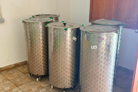 Cidade Velha Tour with Grogue Tasting & Lunch