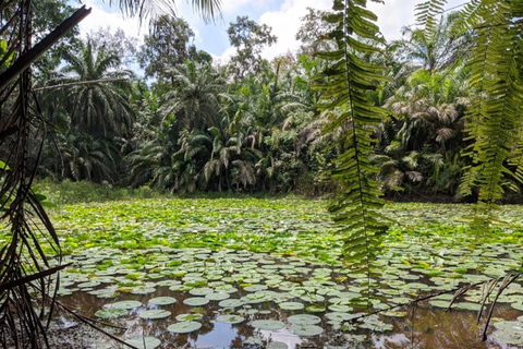 Zanzibar: tour a piedi nella foresta di Masingini e avventura con la zip line