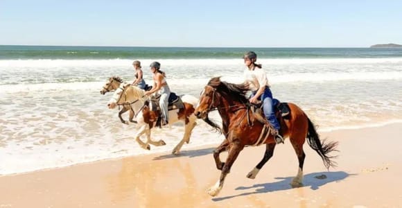 Tirana: 1-Day Tour, Horse Riding and Durres City, Beach time