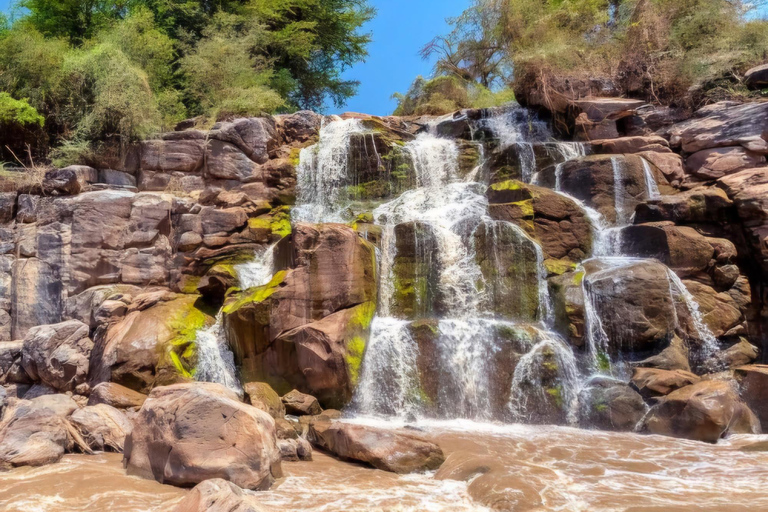 Von Addis Abeba: Tagestour zum Awash-Nationalpark