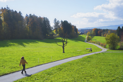 Zurich : visite citadine privée avec photos et trajet en téléphérique