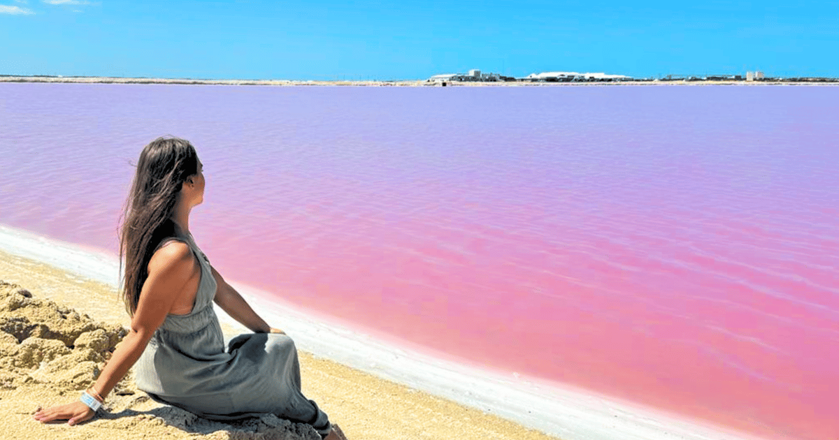 Из Канкуна: однодневная поездка в Рио-Лагартос и Лас-Колорадас с обедом ...