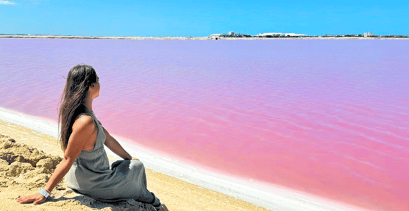 Ab Cancún: Bootstour nach Río Lagartos und Las Coloradas mit Mittagessen