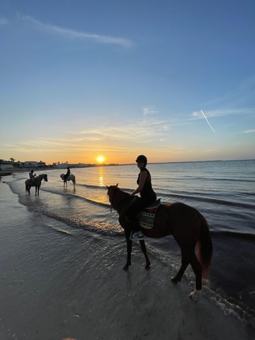 Djerba: Horse Riding in the Blue Lagoon 2h.