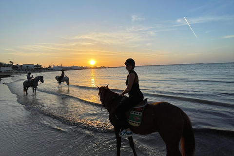 Djerba: Individual Horse Riding in the Blue Lagoon.