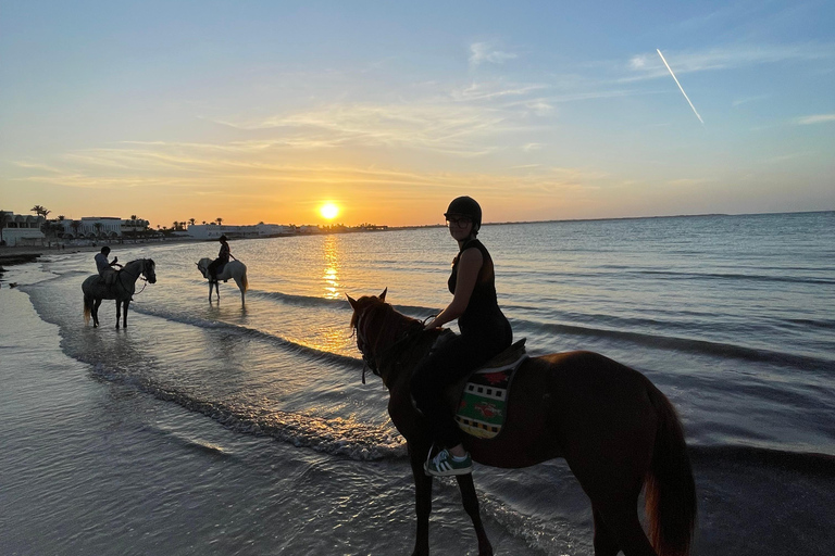 Djerba: Individual Horse Riding in the Blue Lagoon.