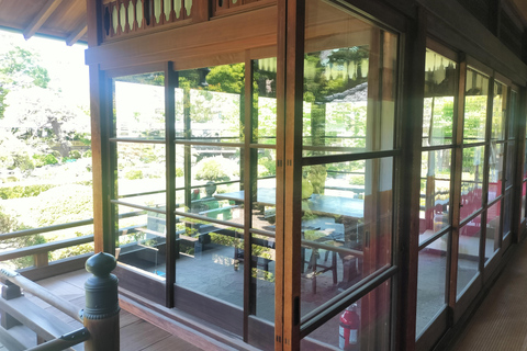 Tokyo: Ginza to Shibamata Walking Tour with Guide