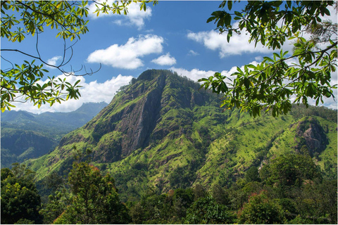 Ella Jeep Safari: Little Adam’s Peak, Nine Arches,Waterfalls