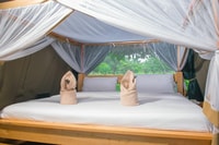 Murchison Falls Unforgettable Safari - Housity