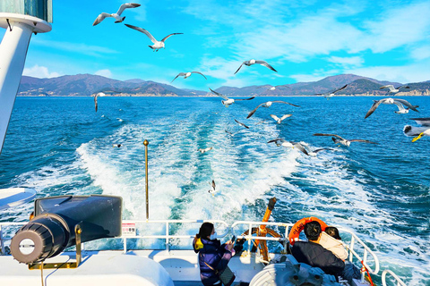 Geoje Cable Car and Oedo Botania Day Tour from Busan