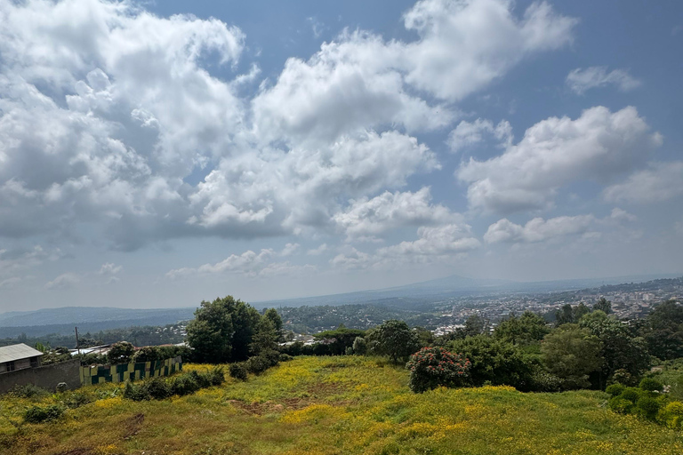 Addis Abeba: 6-dniowa wycieczka po jeziorach Rift Valley z posiłkami