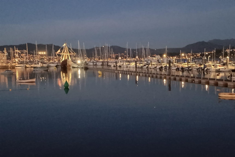 Porto: Baiona, Santiago de Compostela & Vigo Day Trip