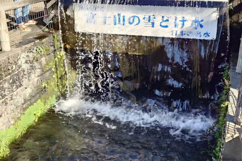 Tokyo: Mt Fuji&Chureito Pagoda&Lake Kawaguchi&Oshino Hakkai Free Karaage Chicken Set | 8AM Tokyo Station Departure