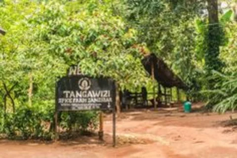 Zanzibar: tour privato con l'Isola della Prigione e la Fattoria delle Spezie