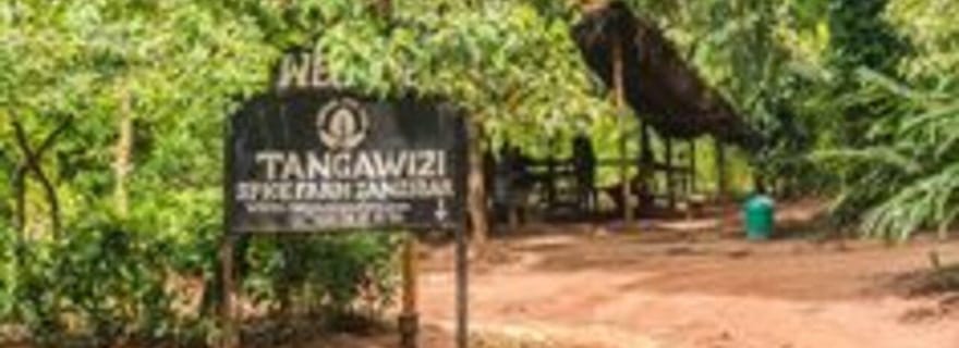 Zanzibar : visite privée avec l'île prison et la ferme aux épices