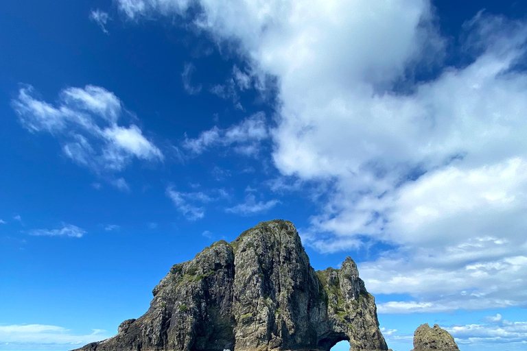 Hole in the Rock-tur och kryssning i Bay of Islands2,5 timmars tur - Hål i berget