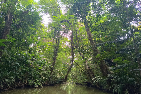 Un&#039;esperienza di 3 ore attraverso i canali del Parco Nazionale.