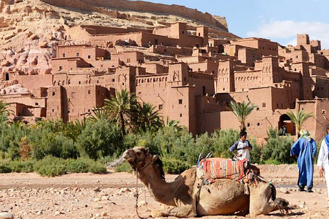 From Marrakech: 2-Day Zagora Desert Tour Camel & Luxury Camp Shared Tour With Luxury Camp