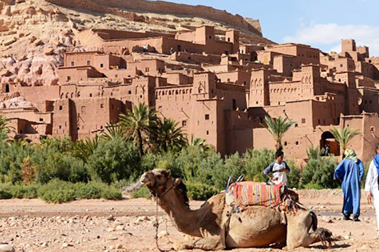From Marrakech: 2-Day Zagora Desert Tour Camel & Luxury Camp Shared Tour With Luxury Camp
