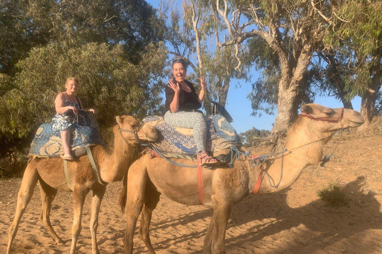 Agadir: Private Souss River Camel Ride with Pickup