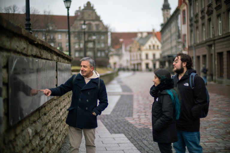 Tallinn classique : visite guidée de la vieille ville et du quartier de KadriorgVisite guidée classique de Tallinn : vieille ville et quartier de Kadriorg