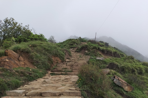 Explorer le Mardi Himal : Un trek de 5 jours Points forts de l&#039;observation des oiseaux