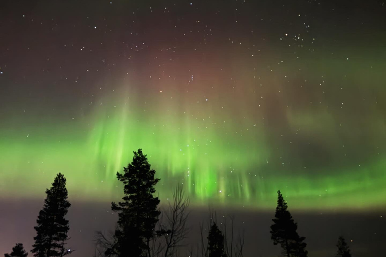 Northern Lights Rovaniemi Guaranteed & Unlimited KM Hunting
