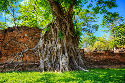 Bangkok: Ayutthaya Temples, Thai Traditions & Local Life Hotel Pickup & Drop-off (Include Entrance & Lunch)