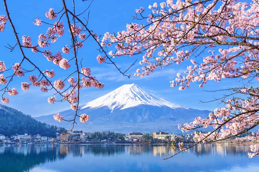 Fuji: Kawaguchi, Yamanaka, Oshino – Kleingruppentour & Abholung. Foto: GetYourGuide Fuji: Kawaguchi, Yamanaka, Oshino – Kleingruppentour & Abholung. Foto: GetYourGuide