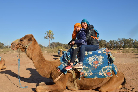 Agadir: Camel Ride by Souss River with Hotel Pickup