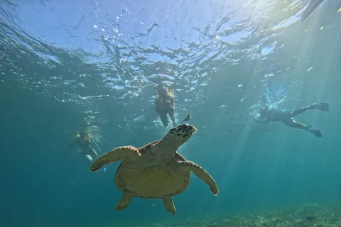 Cancun: Snorkeling Boat Tour with Hotel Transfer and Gear