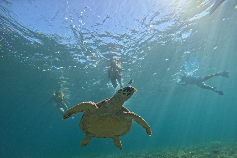 Cancun: Snorkeling Boat Tour with Hotel Transfer and Gear