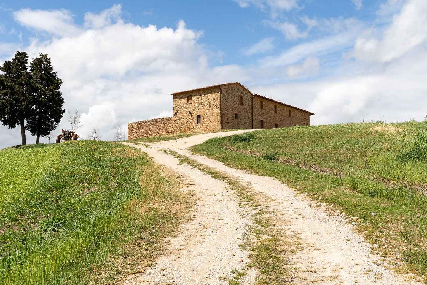 Pienza: guided tasting of Orcia DOC wine and organic EVO oil