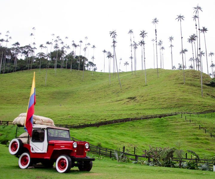 Salento, Cocora and Filandia Tour from Pereira or Armenia