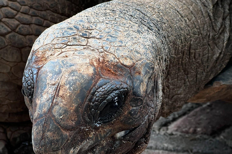 Ciudad de piedra y prisión Isla