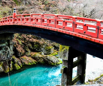De Tóquio: Viagem de 1 dia a Nikko, personalizada, em inglês
