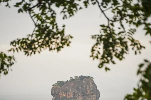 Sigiriya: Pidurangala Rock Hike & Minneriya Jeep Safari