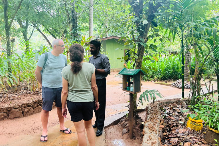 Z Sigiriya: Kandy Drop i wycieczka po mieście z najważniejszymi przystankami