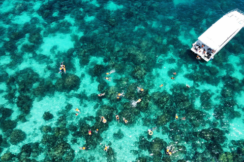 Phuket:Phi Phi, Maya and Khai Island Tour By Speed Catamaran