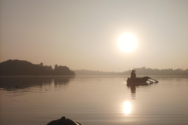 Mirissa: Kayaking & Bird watching Experience Sunrise or Sunset Bird watching Kayaking (Pickup included)